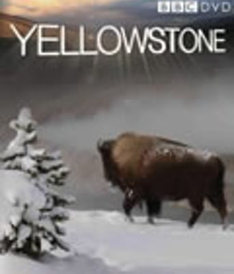 黄石公园(3集全)【BD中