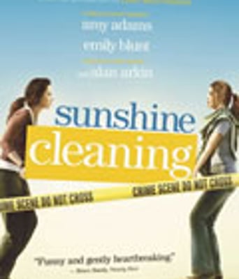 阳光清洗/清洁小小姐