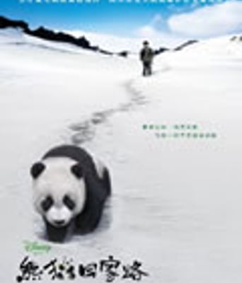 <b><font color='#FF0000'>熊猫回家路/猫熊团圆</font></b>