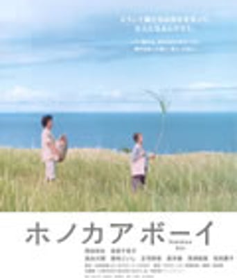 夏威夷少年[DVD中字]