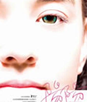 阳阳/小太阳[DVD国语中