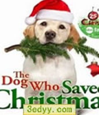 妙狗拯救圣诞节[DVD中