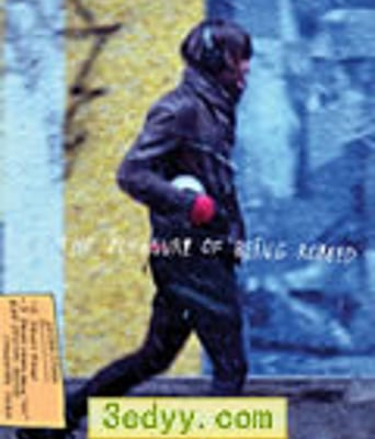 被抢劫的乐趣[DVD中英