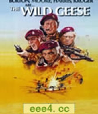 野鹅敢死队[BD中字12