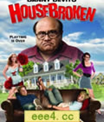 分家总动员[DVD中英双