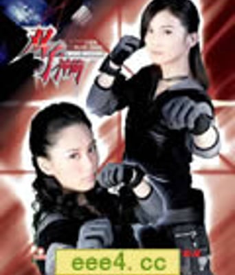 双子神偷[HD国语中字