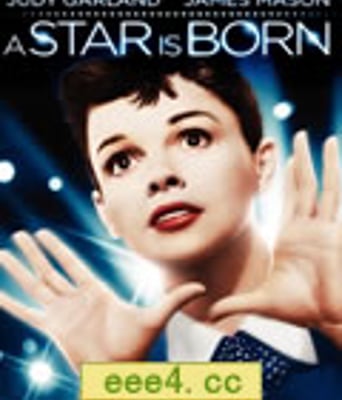 一个明星的诞生/明星