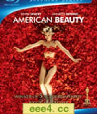 美国丽人/美国美人/美