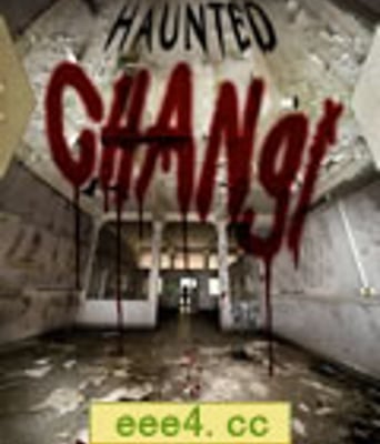 幽灵樟宜[DVD中字]