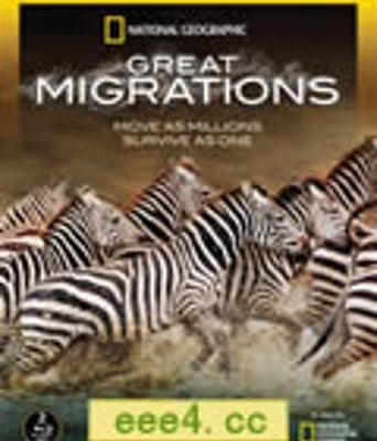 国家地理：大迁徙[B