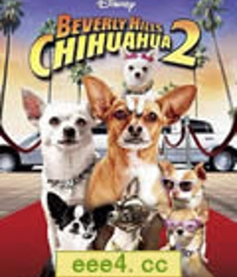 比佛利拜金狗2/贝弗利